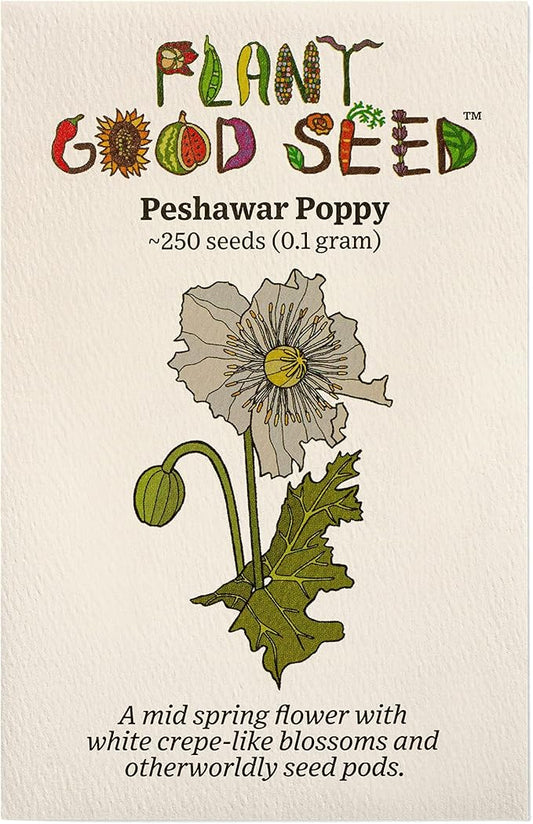 Plant Good Seed Organic Peshawar Poppy Seeds - Pack of 250, Pack of 100 Heirloom Seeds For Planting Flowers - Gardening Supplies, Herb Garden, Wildflower, Flower Seeds To Plant Outside - Non-GMO, From USA