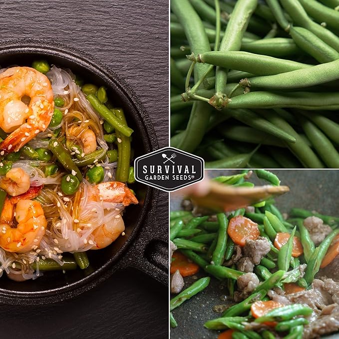 Survival Garden Seeds - Kentucky Wonder Pole Bean Seed for Planting - 5 Packs with Instructions to Plant and Grow Green Snap Beans in Your Home Vegetable Garden - Non-GMO Heirloom Variety