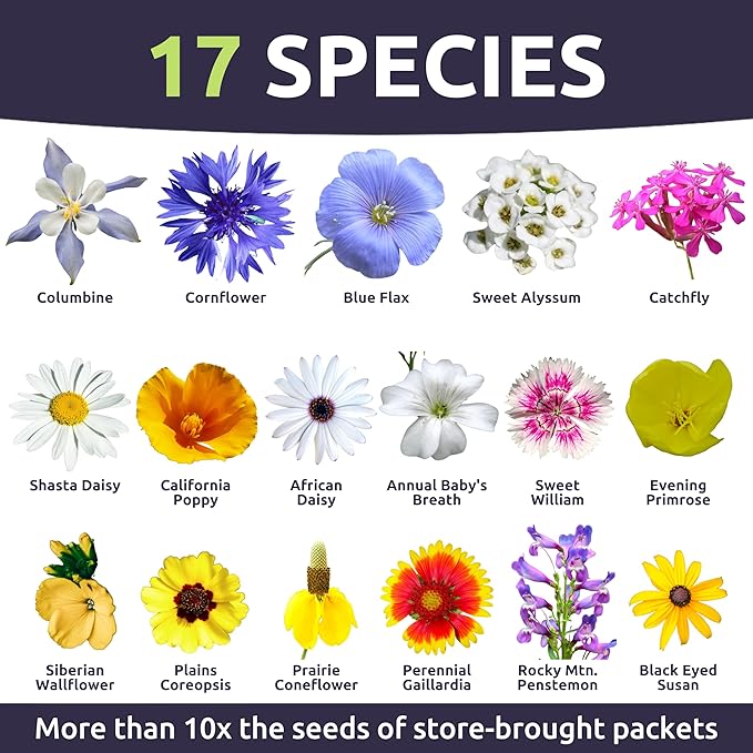 Rocky Mountain Regional Mix - Large 1 Ounce Packet - 25,000 Flower Seeds for Planting - Wildflower Mix