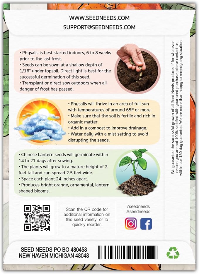 Seed Needs, Chinese Lantern Seeds - 200 Heirloom Seeds for Planting Physalis Alkekengi - Orange Ornamental Pods, Perfect for Pots & Containers (5 Packs)