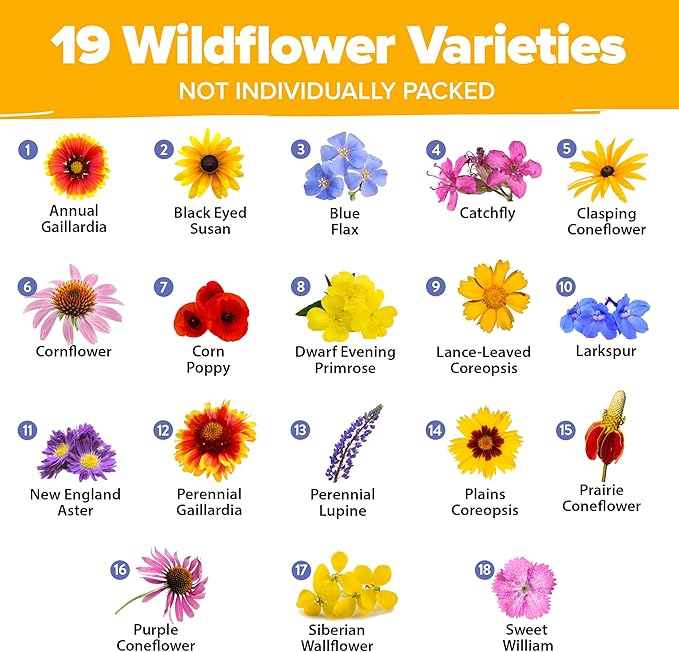 HOME GROWN Midwest Wildflower Seeds Mix 4oz | 65,000 Non-GMO, USA Sourced, High Germination Rate | Heirloom Pollinator Flowers Seed Mix | Wild Flower Seeds Bulk | Covers 500 sq. ft.