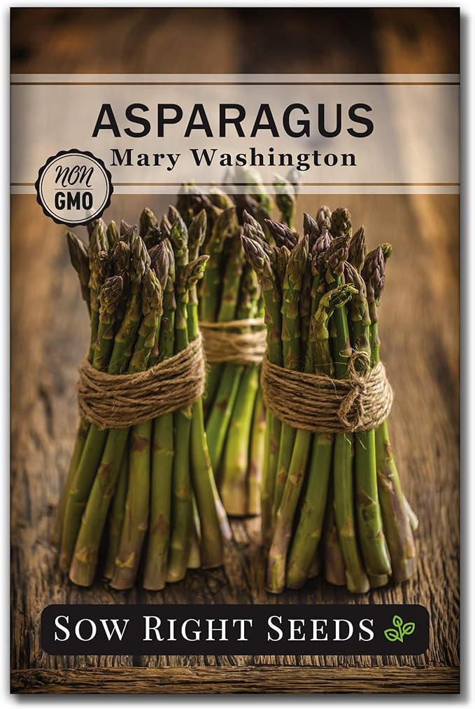 Sow Right Seeds - Mary Washington Asparagus Seed for Planting - Non-GMO Heirloom Packet with Instructions to Plant an Outdoor Home Vegetable Garden - Classic Perennial Stalks with Hearty Flavor (1)