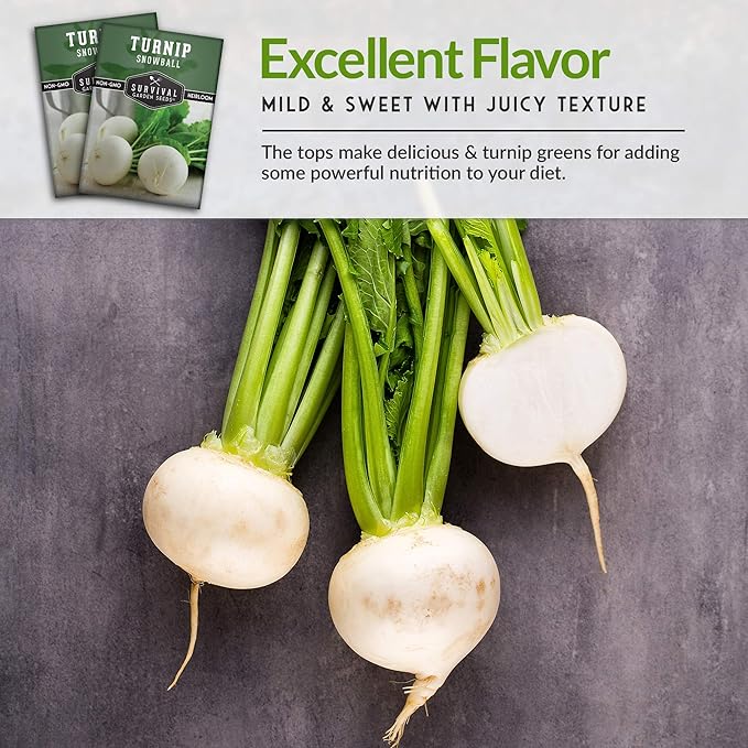 Survival Garden Seeds - Turnip Snowball Seed for Planting - 5 Packs with Instructions to Plant and Grow Root Vegetables and Greens in Your Home Vegetable Garden - Non-GMO Heirloom Variety - Fall Seeds
