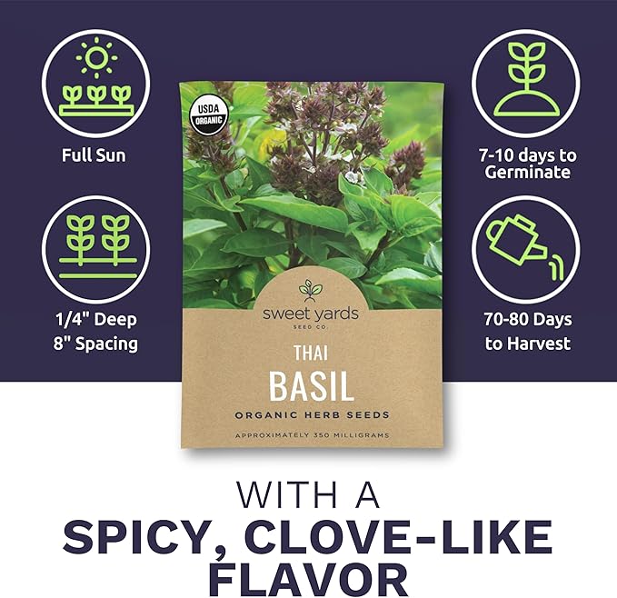 Organic Thai Basil Seeds – Seed Packet of Over 350 Open Pollinated Non-GMO Seeds – Sweet Yards Seed Co.