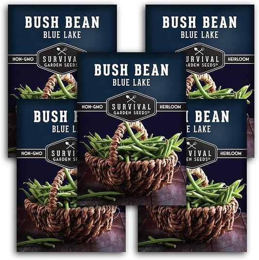 Survival Garden Seeds - Blue Lake Bush Bean Seed for Planting - 5 Packets with Instructions to Plant & Grow Green Stringless Snap Beans in Your Home Vegetable Garden - Non-GMO Heirloom Variety