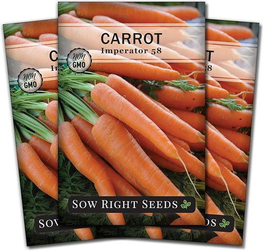 Sow Right Seeds - Imperator 58 Carrot Seed for Planting - Non-GMO Heirloom Packet with Instructions to Plant a Home Vegetable Garden - Indoors or Outdoors - Long Variety, Super Sweet (3)
