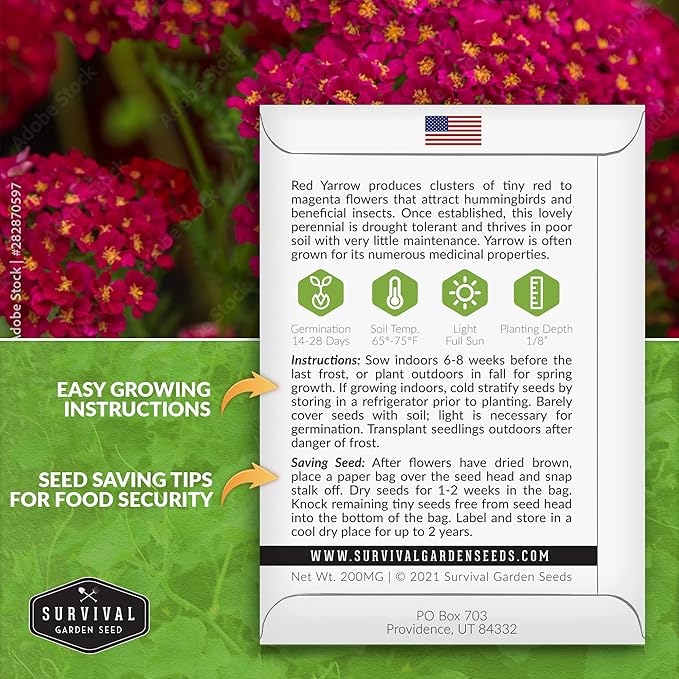 Red Yarrow Seed for Planting in The Garden - 5 Packs with Instructions to Plant and Grow Common Yarrow - Medicinal Herb Wildflowers - Heirloom, Non-GMO, Open-Pollinated Seeds for The Survival Garden
