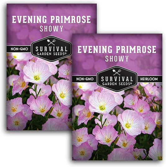 Showy Evening Primrose Seed for Planting - 2 Packets with Instructions to Plant and Grow Pinkladies in Your Home Flower Garden - Non-GMO Heirloom Variety - Survival Garden Seeds - Mexican Primrose