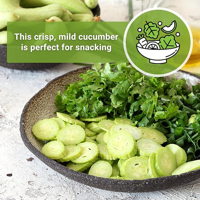 Sow Right Seeds - Armenian Pale Green Cucumber Seeds for Planting - Non-GMO Heirloom Packet with Instructions to Plant and Grow a Home Vegetable Garden - Yard Long Variety for Outdoors (2)