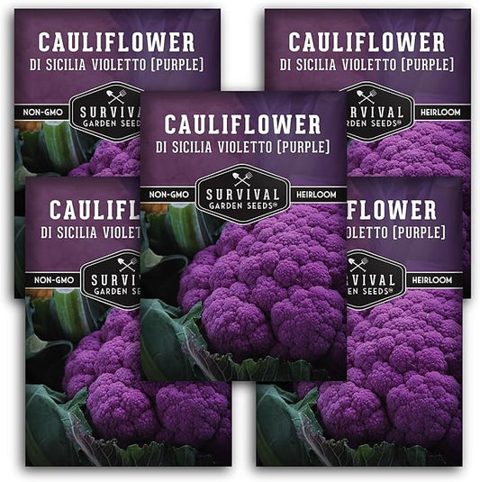 Di Sicilia Violetto Purple Cauliflower Seed for Planting - 5 Packets with Instructions to Plant & Grow Unique Cauliflower Plants in Your Home Garden - Non-GMO Heirloom Variety - Survival Garden Seeds