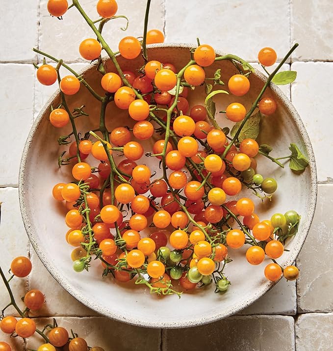 Burpee 'Yellow Currant', Yellow Sweet Cherry Tomato, 30 Non-GMO Seeds
