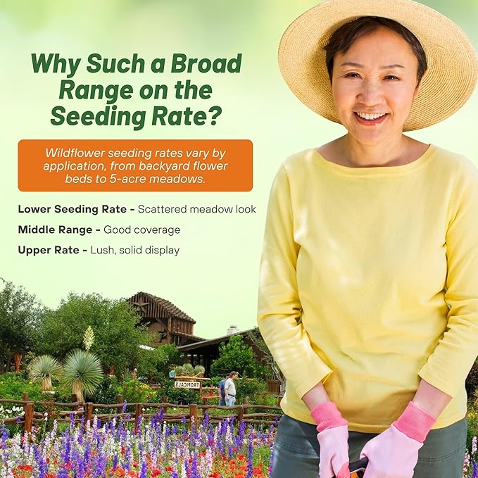 Outsidepride Texas & Oklahoma Wildflower Seed Mix - 1/4 lb Drought-Tolerant, Blend of Annual & Perennial Flower Seeds for Vibrant, Pollinator-Friendly Gardens, Thrives in Full Sun & Well-Drained Soil