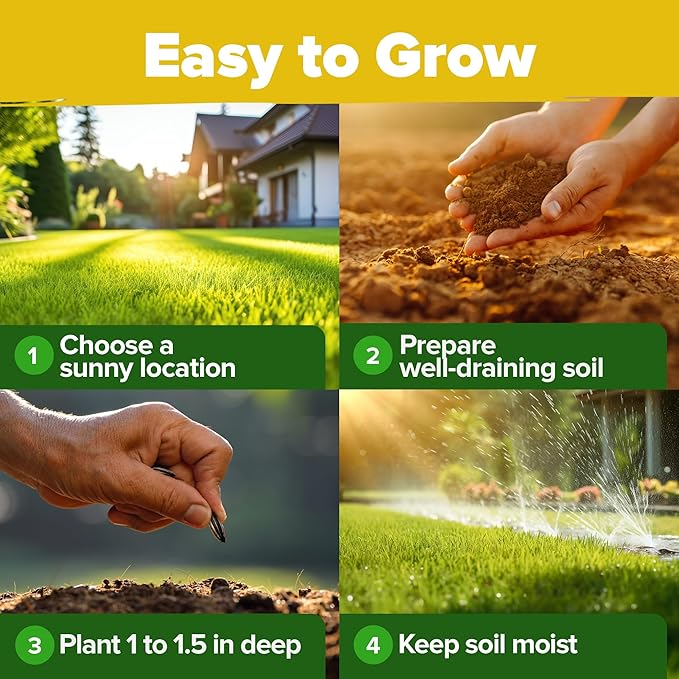 HOME GROWN Sunflower Seeds for Planting (8 Unique Varieties) 1000+ Sun Flower Seeds to Plant - Grow Dwarf Sunflowers, Mexican Sunflowers, Wild, Lemon Queen, Autumn Beauty, Sunspot, Velvet Queen