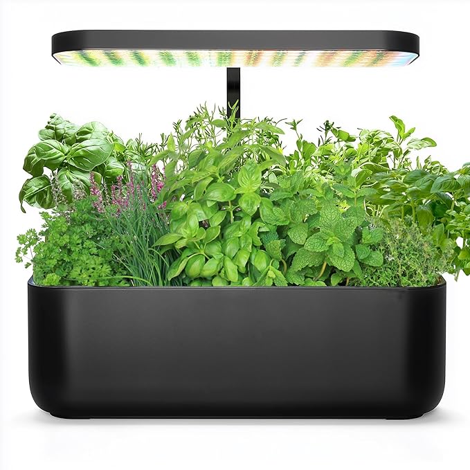 25 Varieties Vegetable & Herb Seeds for Planting, 10,000+ Heirloom Culinary Veggie Herb Seeds Collection Gift Pack, Non-GMO Herb Seed Garden Kit for Indoor Outdoor Growing, Home Fresh Food Supply