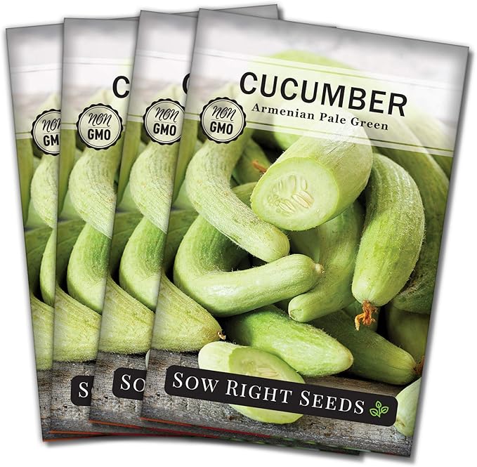 Sow Right Seeds - Armenian Pale Green Cucumber Seeds for Planting - Non-GMO Heirloom Packet with Instructions to Plant and Grow a Home Vegetable Garden - Yard Long Variety for Outdoors (4)