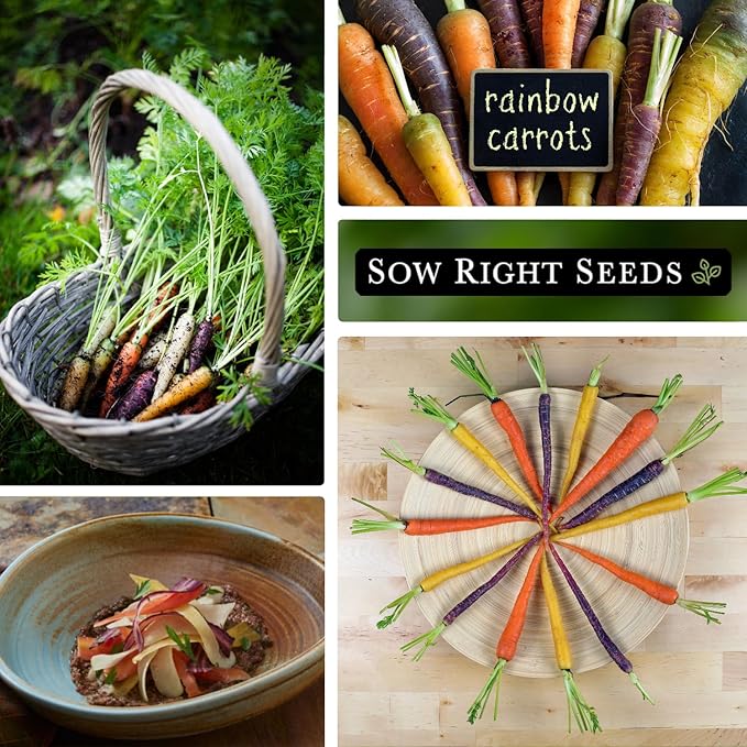 Sow Right Seeds - Rainbow Mix Carrot Seed for Planting - Non-GMO Heirloom Packet with Instructions to Plant a Home Vegetable Garden - Orange, Red, Purple, White Variety Mix for Colorful Harvest (2)
