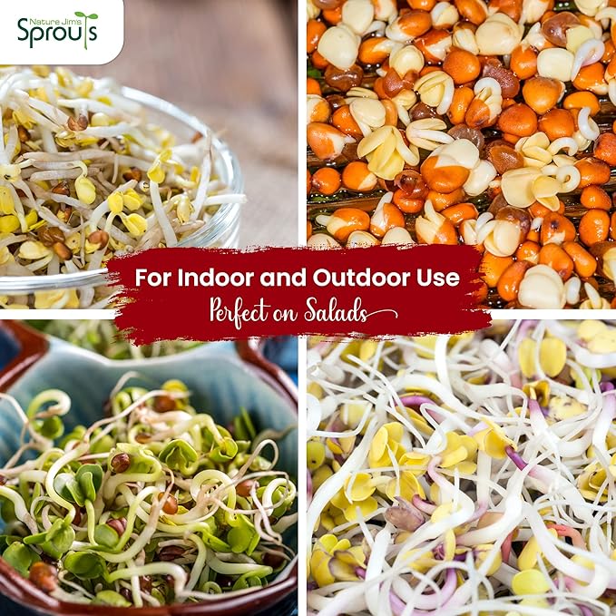 Nature Jims Radish Sprout Seeds – 16 Ounce Organic Sprouting Seeds – Non-GMO Premium Radish Seeds – Resealable Bag for Longer Freshness – Rich in Vitamins, Minerals, Fiber