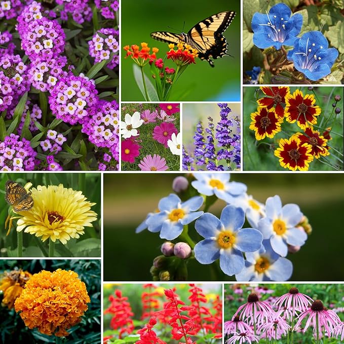 Wildflower Seeds Bulk, 4 Oz, 100,000+ Seeds, 26 Variety Flowers Seeds Mix Seeds for Planting, Annual Perennial Butterfly Garden Seeds for Attracting Birds and Bees