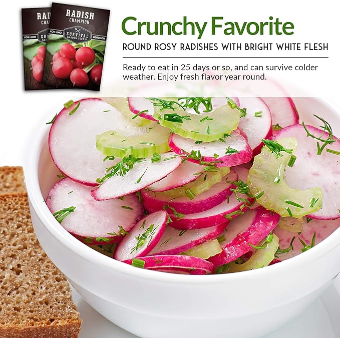 Survival Garden Seeds - Champion Radish Seed for Planting - 3 Packets with Instructions to Plant & Grow Red Radishes in Your Home Vegetable Garden - Non-GMO Heirloom Variety Vegetable Seed