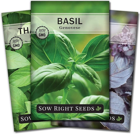 Sow Right Seeds - Basil Seed Collection for Planting - Non-GMO Heirloom Varieties for Indoor & Outdoor Gardens - Genovese, Thai & Opal - Great for Hydroponics Growing - Ideal Gardening Gift
