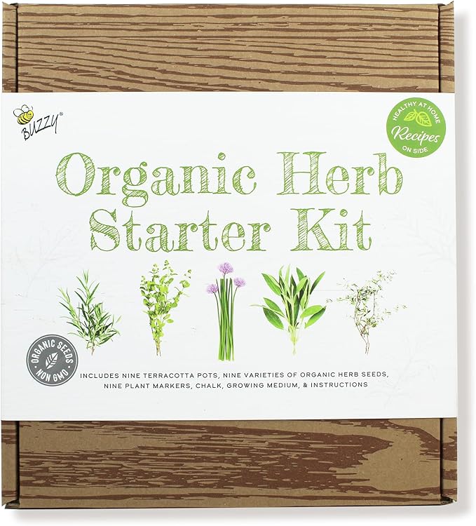 Buzzy 9 Large Terracotta Pot Organic Herb Garden Gift Box, Best Present for Gardeners - Mother's Day or Easter Plant Gift for Mom - Rosemary, Basil and Other Seeds Included in The Indoor Planter kit.