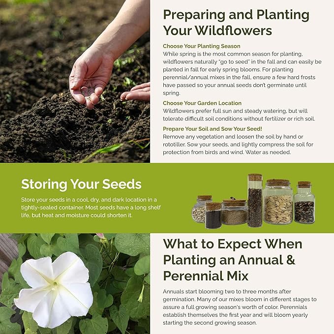 Eden Brothers Top O The Morning Flower Mixed Seeds for Planting, 5 lb, 2,400,000+ Seeds with Morning Glory, Moonflower | Attracts Pollinators, Plant in Spring or Fall, Zones 3, 4, 5, 6, 7, 8, 9, 10