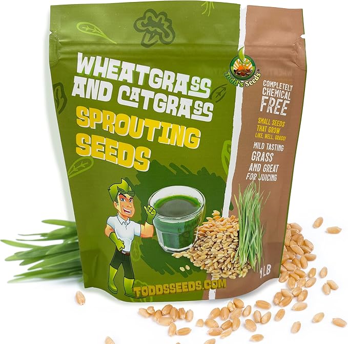 Todd's Seeds - 1 Pound of Wheatgrass Seeds - Non GMO Sprouting Seeds - Grind Into Whole Wheat Flour - Pet Grass - Cat Grass for Indoor Cats - Wheat Grass Seeds