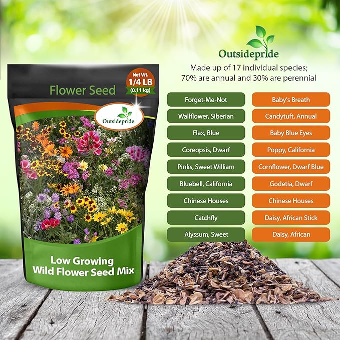 Outsidepride Low Growing Wildflower Seeds - 1/4 lb Dwarf, & Short, Diverse Perennial & Annual Wild Flower Seed Mix with Long Bloom Season for Colorful Display That Thrives on All States