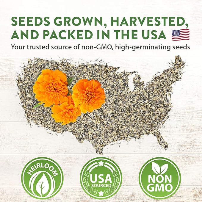 HOME GROWN Marigold Seeds Bulk Mix - 5600+ Crackerjack Marigold Flower Seeds for Planting Outdoors - Flowers Seed for Companion Planting - Wildflower African Marigold Seeds (Tagetes erecta)