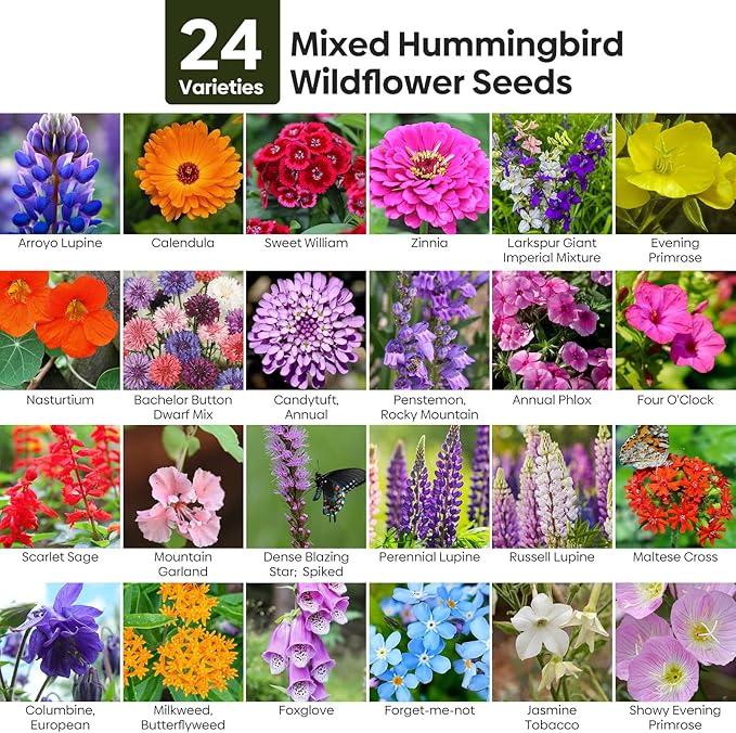 Wildflower Seeds Hummingbird and Butterfly Mix, 1 Oz, Package of 25,000+ Seeds, 24 Varieties Flowers Seeds to Plant Outside, Annual Perennial - Bulk Garden Seeds
