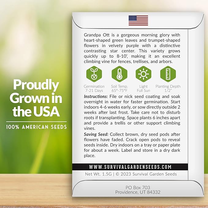 Survival Garden Seeds - Grandpa OTT Morning Glory Seed for Planting - 3 Packs with Instructions to Plant and Grow Ipomoea Purpurea in Your Home Vegetable Garden - Non-GMO Heirloom Variety