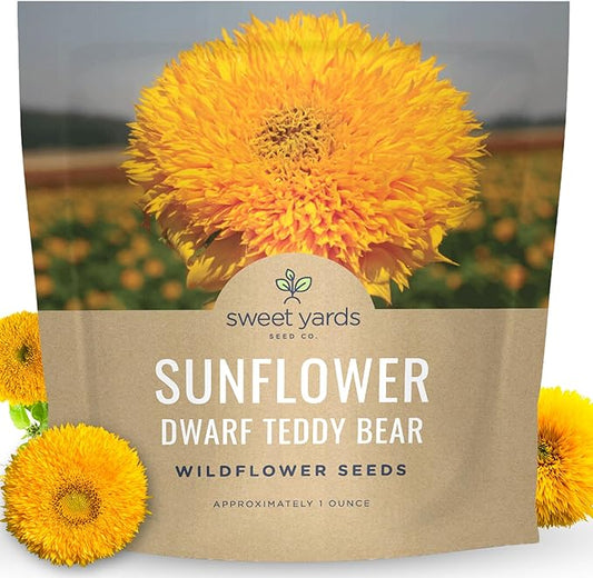Dwarf Teddy Bear (Sungold) Sunflower - Large 1 Ounce Packet - 1,250 Flower Seeds for Planting - Helianthus annuus