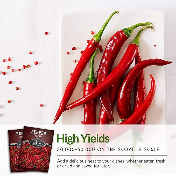 Survival Garden Seeds - Red Cayenne Pepper Seed for Planting - 5 Packets with Instructions to Plant and Grow Hot Chili Peppers in Your Home Vegetable Garden - Non-GMO Heirloom Variety