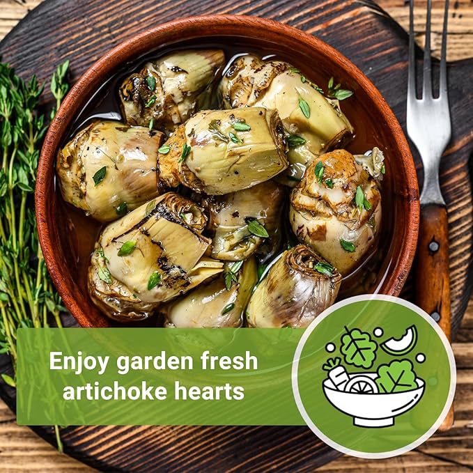 Sow Right Seeds - Artichoke Green Globe Seeds for Planting - Non-GMO Heirloom Packet with Instructions to Plant and Grow an Outdoor Home Vegetable Garden - Perennial - Tall with Edible Flower Buds (3)