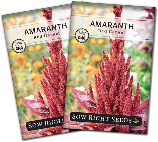 Sow Right Seeds - Red Garnet Amaranth Seeds for Planting - Non-GMO Heirloom Packet with Instructions to Plant & Grow an Outdoor Home Vegetable Garden - Colorful & Unique - Trailing Variety (2)