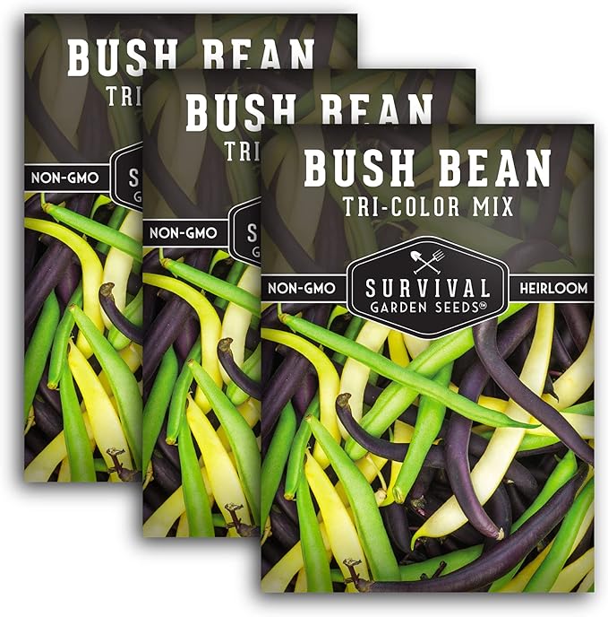Survival Garden Seeds - Tri-Color Bean Seed for Planting - 3 Packs with Instructions to Plant and Grow Yellow, Purple, and Green Bush Beans in Your Home Vegetable Garden - Non-GMO Heirloom Variety
