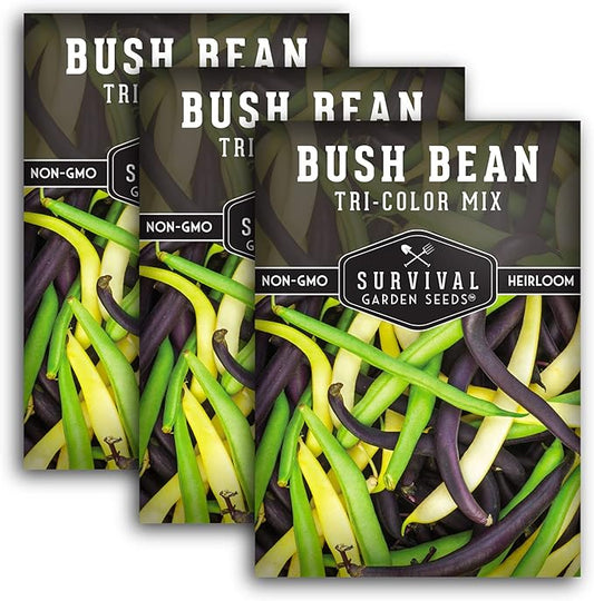 Survival Garden Seeds - Tri-Color Bean Seed for Planting - 3 Packs with Instructions to Plant and Grow Yellow, Purple, and Green Bush Beans in Your Home Vegetable Garden - Non-GMO Heirloom Variety