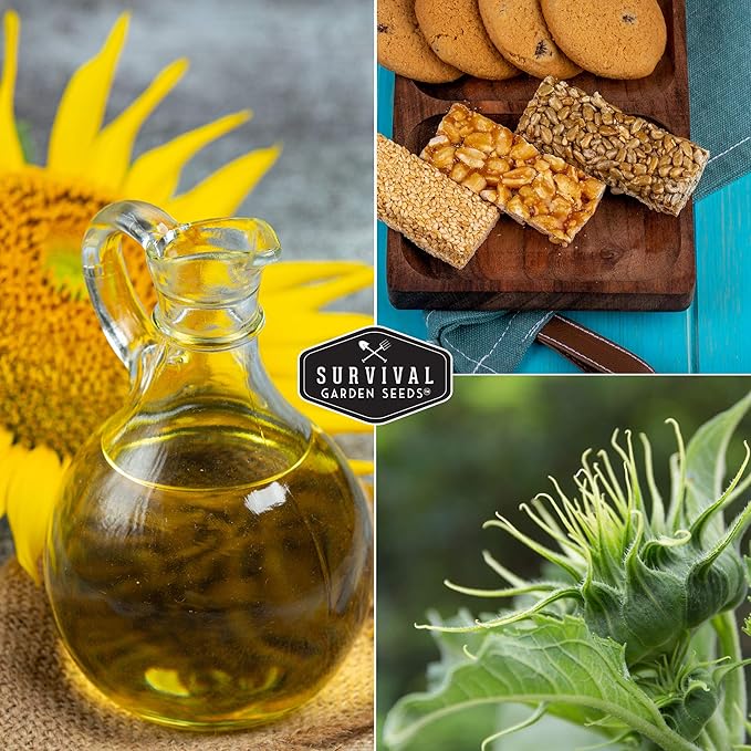 Survival Garden Seeds - Mammoth Sunflower Seed for Planting - Packet with Instructions to Plant and Grow Enormous Colorful Flowers in Your Home Flower or Vegetable Garden - Non-GMO Heirloom Variety