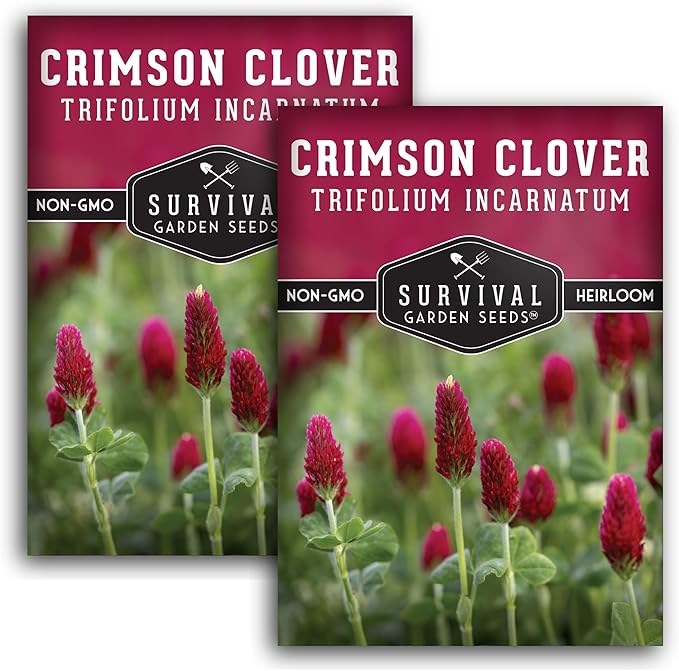 Crimson Clover Seed for Planting - 2 Packets with Instructions to Plant & Grow Flowers or Cover Crop in Your Home Vegetable Garden - Non-GMO Heirloom Variety - Survival Garden Seeds