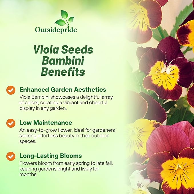 Outsidepride 1000 Seeds Perennial Viola Bambini Flower Seed Mix for Planting
