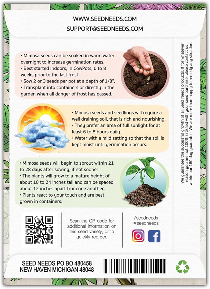 Seed Needs Sensitive Plant Seeds for Planting Mimosa pudica - Heirloom & Open Pollinated Annual Flowers - Pink Blooms with Leaves That React to Touch (1 Pack)