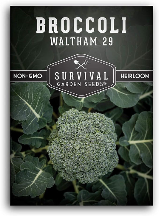 Waltham 29 Broccoli Seed for Planting - Packet with Instructions to Plant & Grow Cool Weather Broccoli in Your Home Vegetable Garden - Non-GMO Heirloom Variety - Survival Garden Seeds - 1 Pack