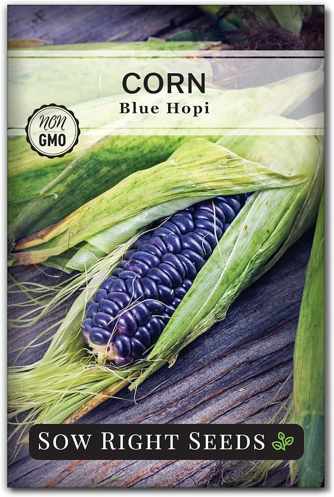 Sow Right Seeds - Blue Hopi Corn Seed for Planting - Non-GMO Heirloom Packet with Instructions to Plant and Grow an Outdoor Home Vegetable Garden - Great for Blue Corn Flour Cooking (1)