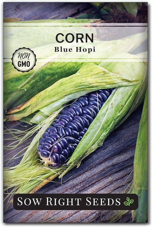 Sow Right Seeds - Blue Hopi Corn Seed for Planting - Non-GMO Heirloom Packet with Instructions to Plant and Grow an Outdoor Home Vegetable Garden - Great for Blue Corn Flour Cooking (1)
