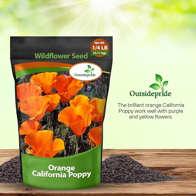 Outsidepride California Poppy Seed - 1/4 LB