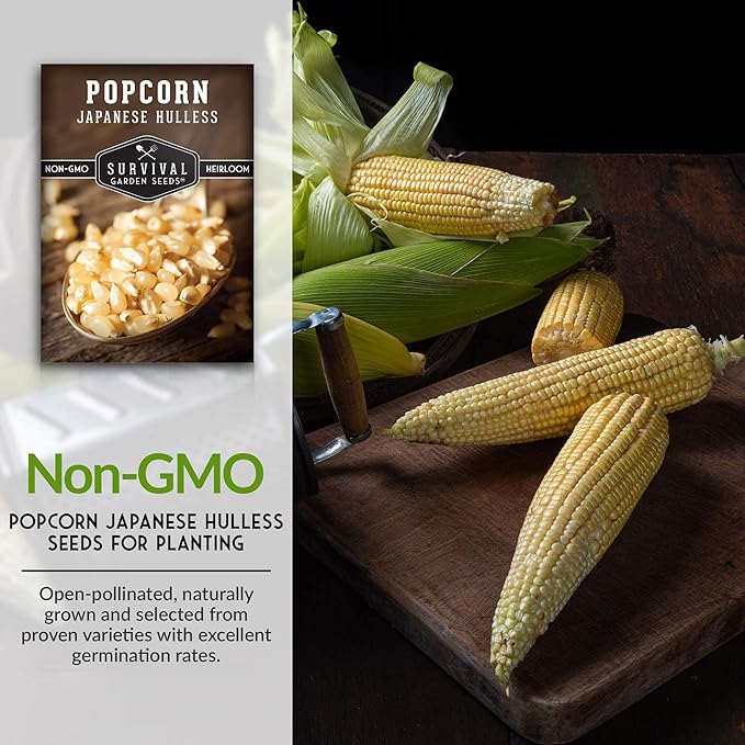 Survival Garden Seeds - Japanese Hulless Popcorn Seed for Planting - 5 Packs with Instructions to Plant & Grow Delicious Kernel Popcorn in Your Home Vegetable Garden - Non-GMO Heirloom Variety Seed