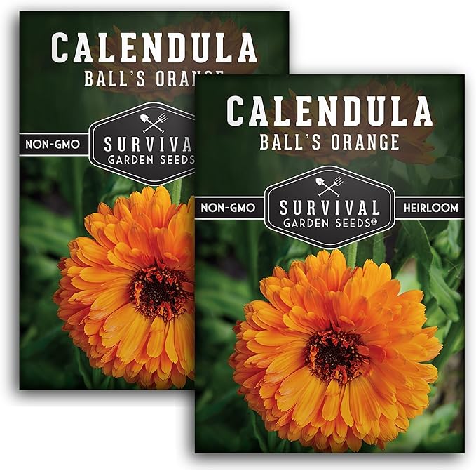 Ball's Orange Calendula Seed for Planting - 2 Packets with Instructions to Plant & Grow Medicinal Herb Plants in Your Home Vegetable Garden - Non-GMO Heirloom Variety - Survival Garden Seeds