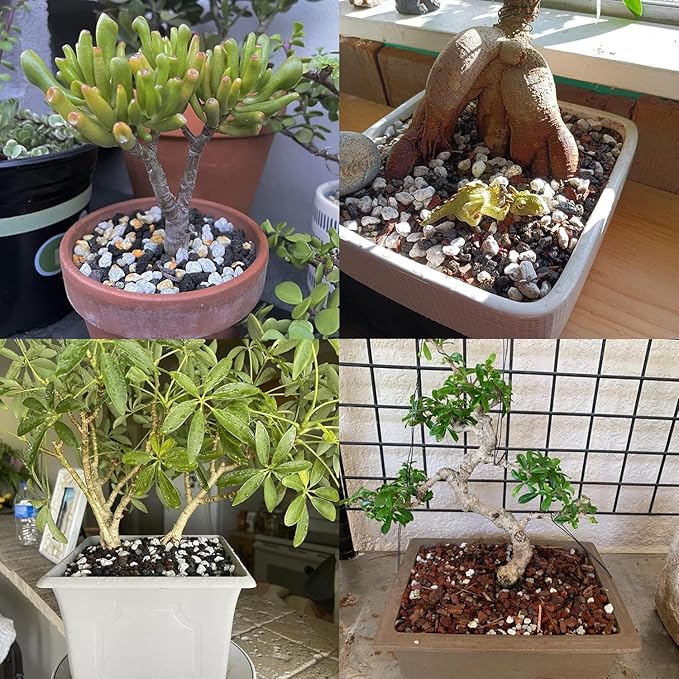 Organic Pumice for Bonsai and Horticultural 100% Natural- (5 gallons, 1/4 inch)