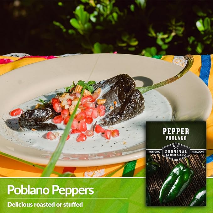 Poblano Pepper Seed for Planting - 5 Packets with Instructions to Plant and Grow Ancho Chiles in Your Home Vegetable Garden - Non-GMO Heirloom Variety - Survival Garden Seeds