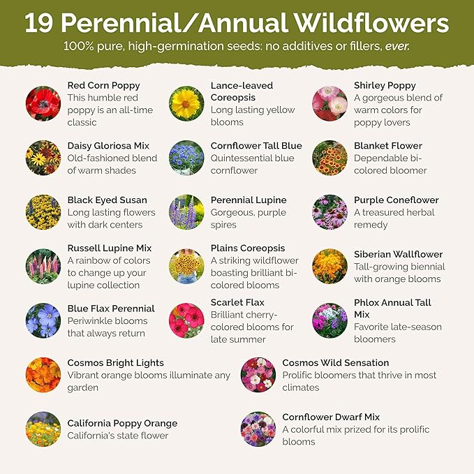 Eden Brothers Pennsylvania Wildflower Mixed Seeds for Planting, 5 lbs, 2,400,000+ Seeds with Coreopsis, Lupine | Attracts Pollinators, Plant in Spring or Fall, Zones